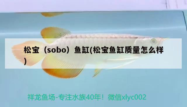 松宝（sobo）鱼缸(松宝鱼缸质量怎么样) 其他品牌鱼缸