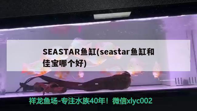 SEASTAR鱼缸(seastar鱼缸和佳宝哪个好) 其他品牌鱼缸