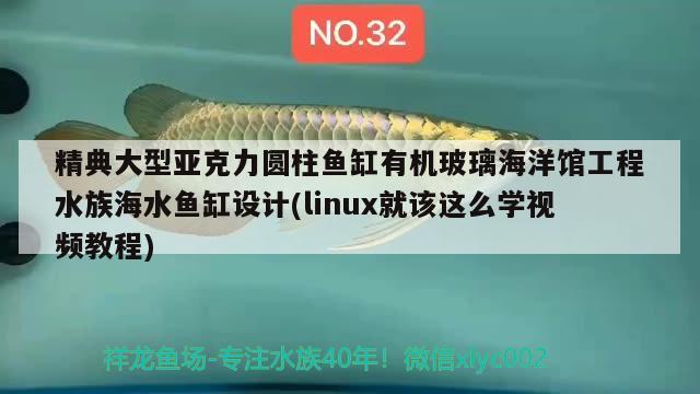 精典大型亚克力圆柱鱼缸有机玻璃海洋馆工程水族海水鱼缸设计(linux就该这么学视频教程) 海水鱼