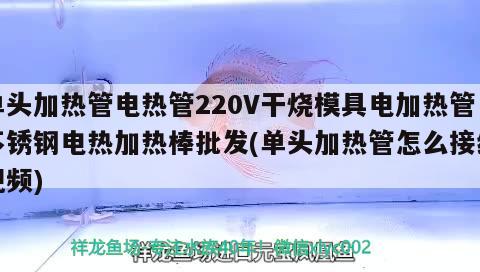 单头加热管电热管220V干烧模具电加热管不锈钢电热加热棒批发(单头加热管怎么接线视频)