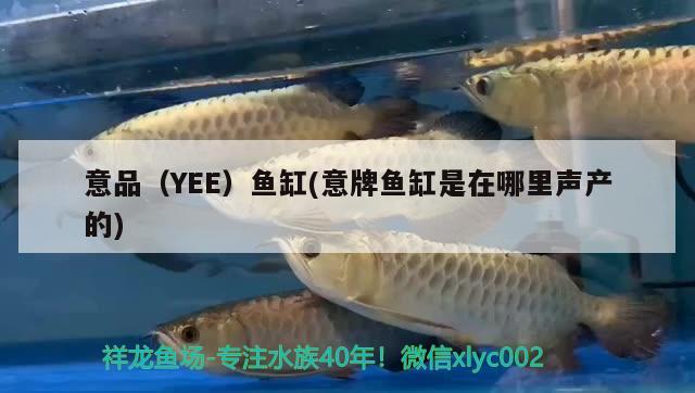 意品（YEE）鱼缸(意牌鱼缸是在哪里声产的) yee