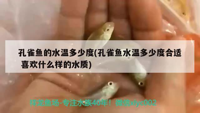 孔雀鱼的水温多少度(孔雀鱼水温多少度合适喜欢什么样的水质)