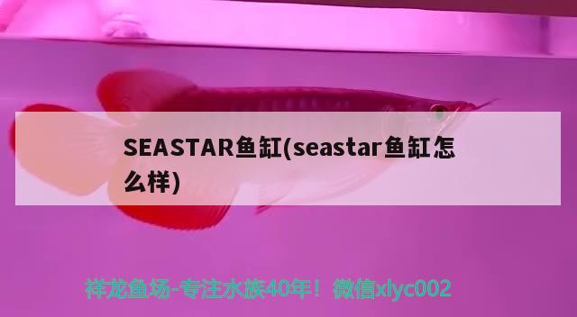 SEASTAR鱼缸(seastar鱼缸怎么样) 其他品牌鱼缸