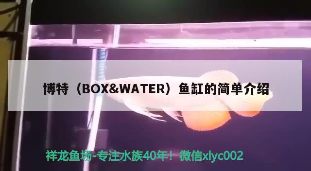 博特（BOX&WATER）鱼缸的简单介绍 博特水族