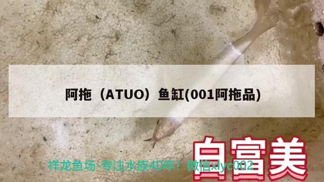 阿拖（ATUO）鱼缸(001阿拖品) 其他品牌鱼缸