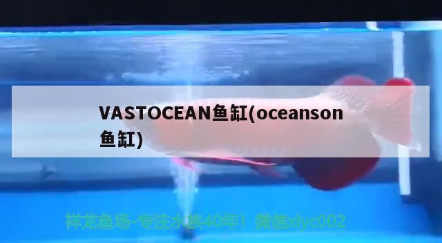 VASTOCEAN鱼缸(oceanson鱼缸)