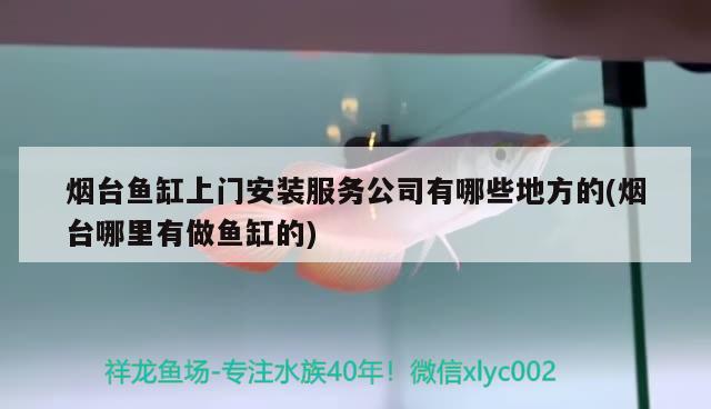 烟台鱼缸上门安装服务公司有哪些地方的(烟台哪里有做鱼缸的) 黄金眼镜蛇雷龙鱼 第3张