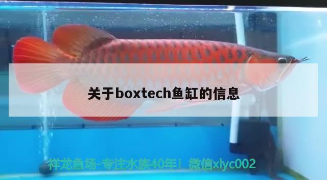 关于boxtech鱼缸的信息 其他品牌鱼缸