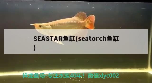 SEASTAR鱼缸(seatorch鱼缸) 其他品牌鱼缸