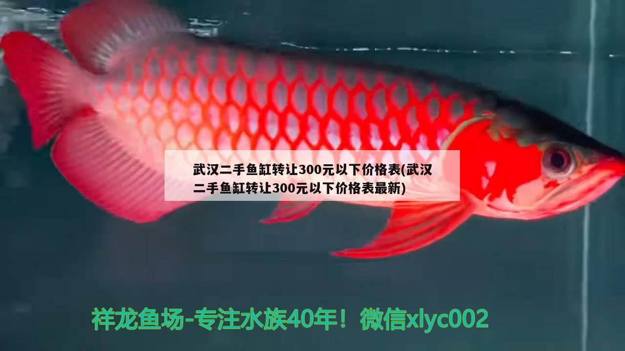 武汉二手鱼缸转让300元以下价格表(武汉二手鱼缸转让300元以下价格表最新)