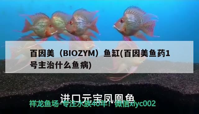 百因美（BIOZYM）鱼缸(百因美鱼药1号主治什么鱼病)