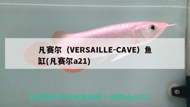 凡赛尔（VERSAILLE-CAVE）鱼缸(凡赛尔a21)