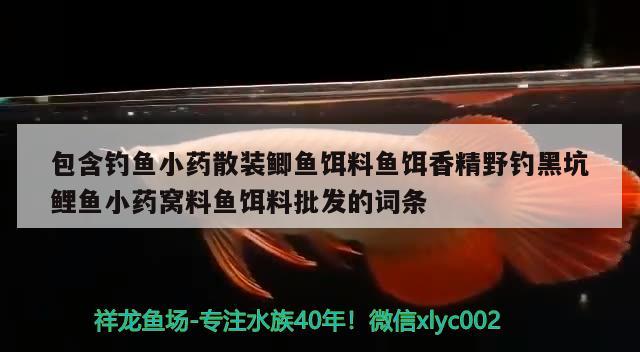 包含钓鱼小药散装鲫鱼饵料鱼饵香精野钓黑坑鲤鱼小药窝料鱼饵料批发的词条 垂钓乐园