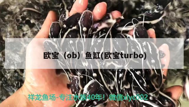 欧宝（ob）鱼缸(欧宝turbo)