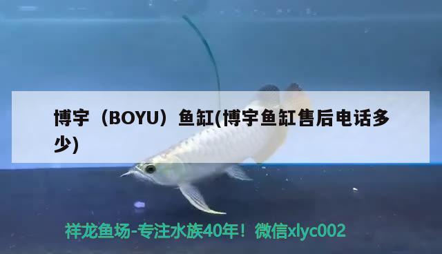 博宇（BOYU）鱼缸(博宇鱼缸售后电话多少)