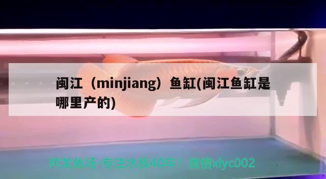 闽江（minjiang）鱼缸(闽江鱼缸是哪里产的) 其他品牌鱼缸