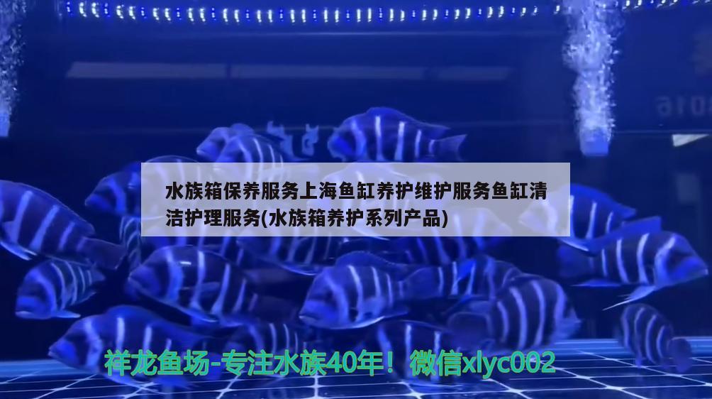 水族箱保养服务上海鱼缸养护维护服务鱼缸清洁护理服务(水族箱养护系列产品) 鱼缸/水族箱