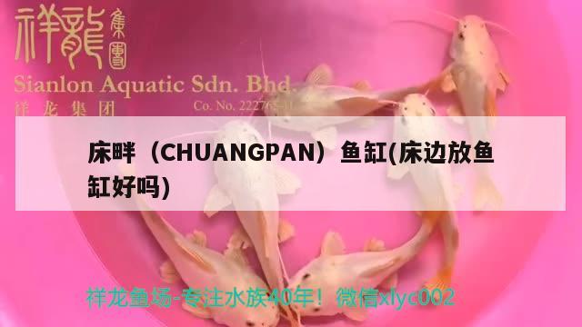 床畔（CHUANGPAN）鱼缸(床边放鱼缸好吗) 其他品牌鱼缸