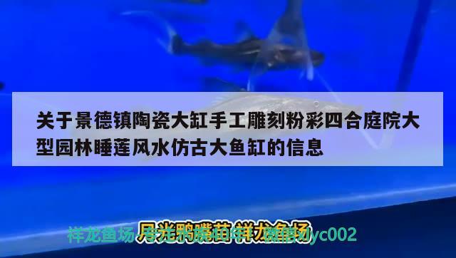 关于景德镇陶瓷大缸手工雕刻粉彩四合庭院大型园林睡莲风水仿古大鱼缸的信息 鱼缸风水