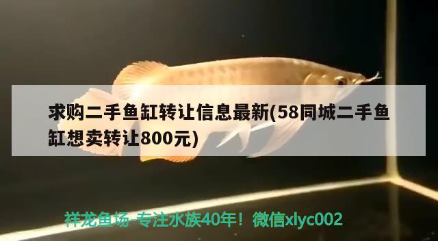 求购二手鱼缸转让信息最新(58同城二手鱼缸想卖转让800元)