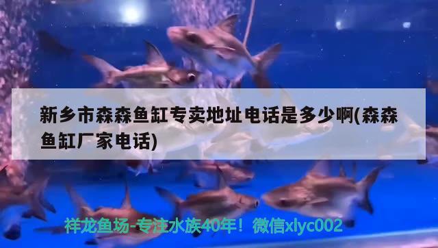 新乡市森森鱼缸专卖地址电话是多少啊(森森鱼缸厂家电话) 帝王三间鱼