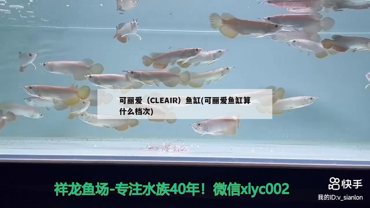 可丽爱（CLEAIR）鱼缸(可丽爱鱼缸算什么档次)