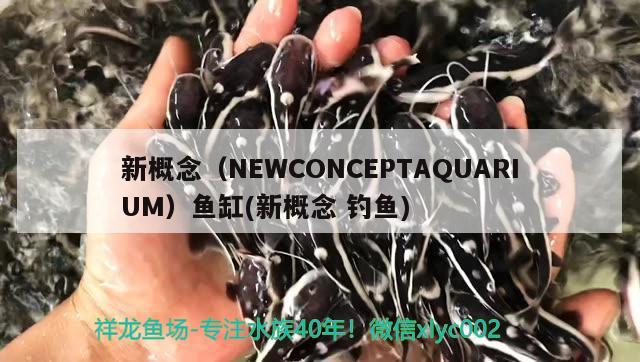 新概念（NEWCONCEPTAQUARIUM）鱼缸(新概念钓鱼)