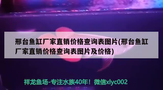 邢台鱼缸厂家直销价格查询表图片(邢台鱼缸厂家直销价格查询表图片及价格) 粗线银版鱼苗