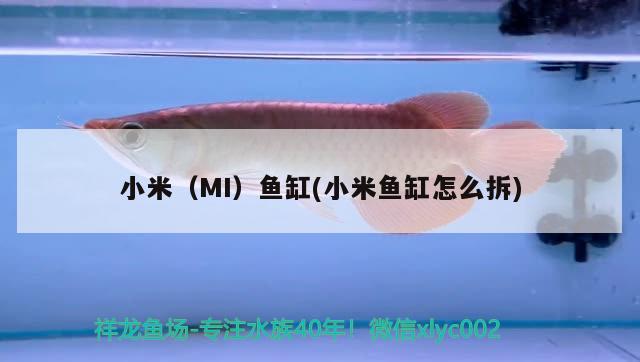 小米（MI）鱼缸(小米鱼缸怎么拆)