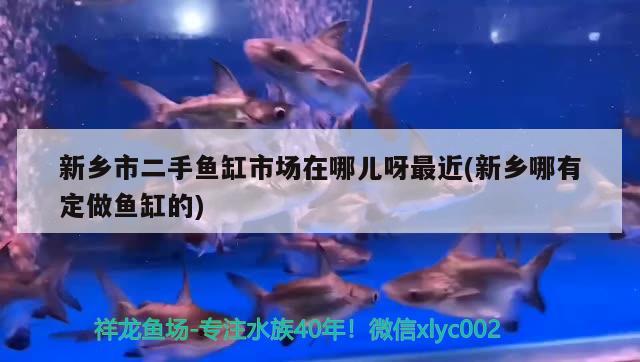 新乡市二手鱼缸市场在哪儿呀最近(新乡哪有定做鱼缸的) 名贵锦鲤鱼