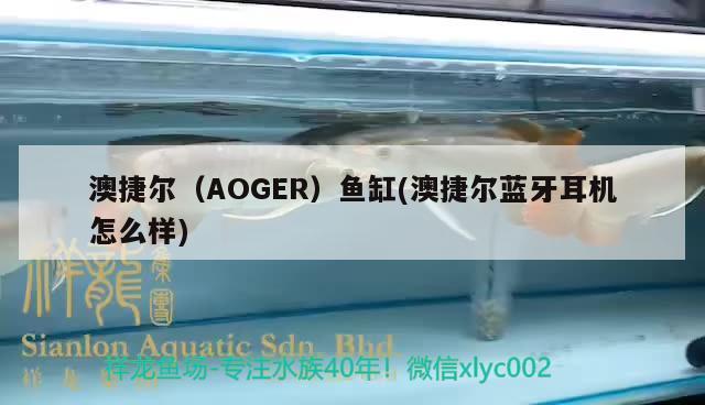 澳捷尔（AOGER）鱼缸(澳捷尔蓝牙耳机怎么样) 其他品牌鱼缸