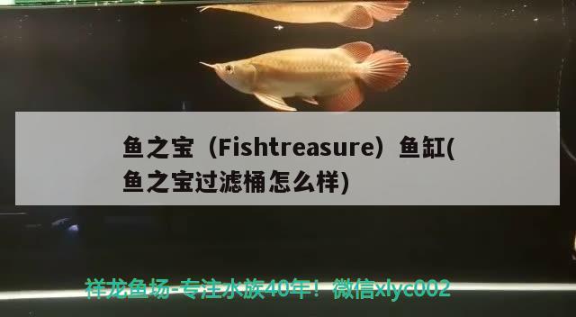 鱼之宝（Fishtreasure）鱼缸(鱼之宝过滤桶怎么样) 其他品牌鱼缸