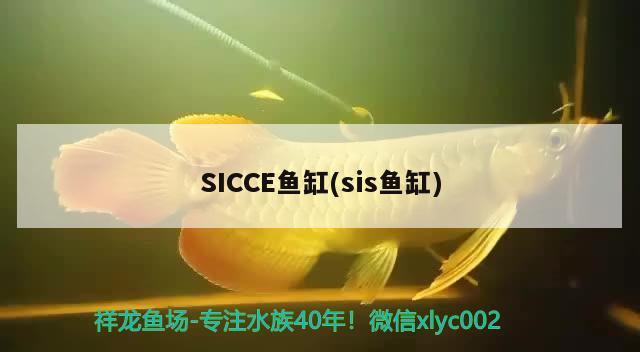 SICCE鱼缸(sis鱼缸) 其他品牌鱼缸