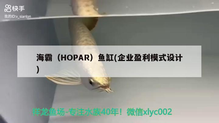 海霸（HOPAR）鱼缸(企业盈利模式设计)