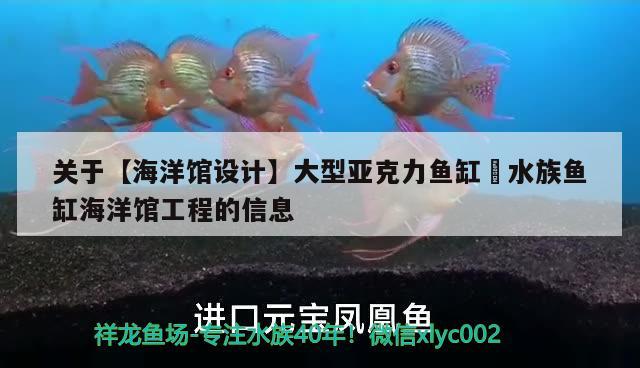 关于【海洋馆设计】大型亚克力鱼缸 水族鱼缸海洋馆工程的信息