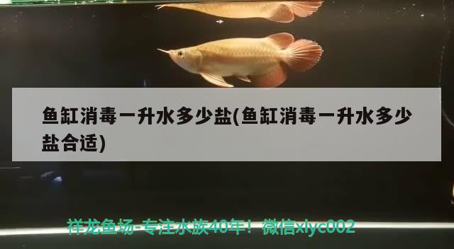 鱼缸消毒一升水多少盐(鱼缸消毒一升水多少盐合适) 罗汉鱼批发