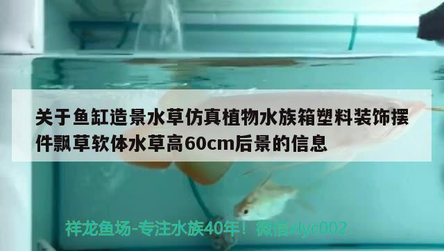 关于鱼缸造景水草仿真植物水族箱塑料装饰摆件飘草软体水草高60cm后景的信息