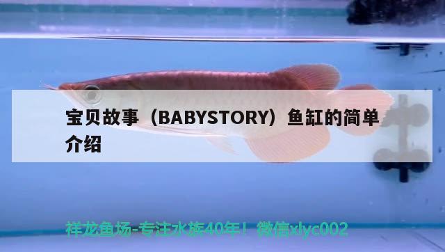 宝贝故事（BABYSTORY）鱼缸的简单介绍