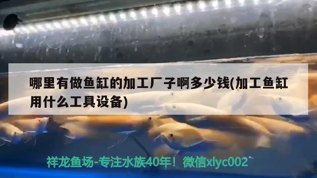 哪里有做鱼缸的加工厂子啊多少钱(加工鱼缸用什么工具设备)