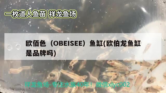 欧佰色（OBEISEE）鱼缸(欧伯龙鱼缸是品牌吗)