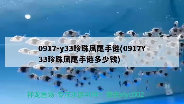 0917-y33珍珠凤尾手链(0917Y33珍珠凤尾手链多少钱) 观赏鱼