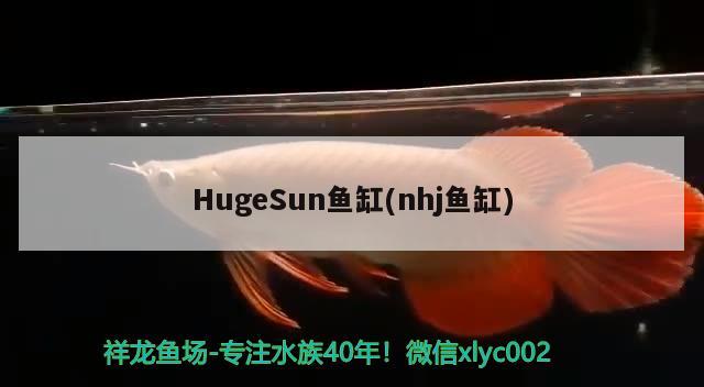 HugeSun鱼缸(nhj鱼缸) 其他品牌鱼缸