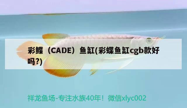 彩鲽（CADE）鱼缸(彩蝶鱼缸cgb款好吗?)