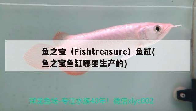 鱼之宝（Fishtreasure）鱼缸(鱼之宝鱼缸哪里生产的) 其他品牌鱼缸