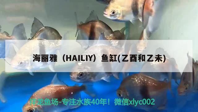 海丽雅（HAILIY）鱼缸(乙酉和乙未)