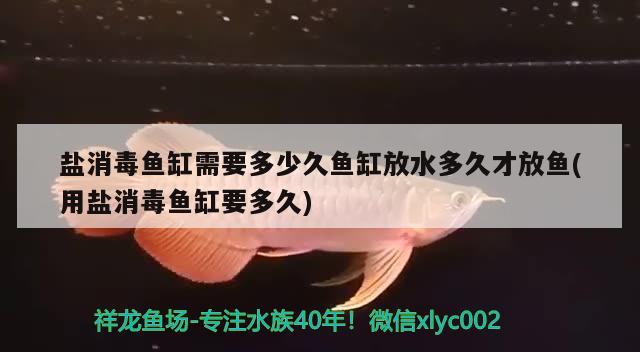 盐消毒鱼缸需要多少久鱼缸放水多久才放鱼(用盐消毒鱼缸要多久)