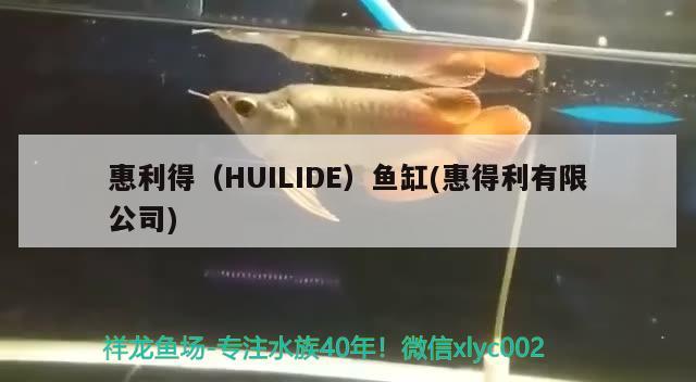 惠利得（HUILIDE）鱼缸(惠得利有限公司)