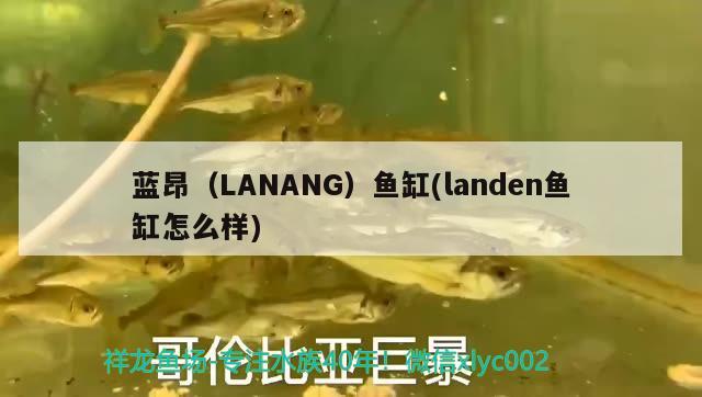 蓝昂（LANANG）鱼缸(landen鱼缸怎么样)