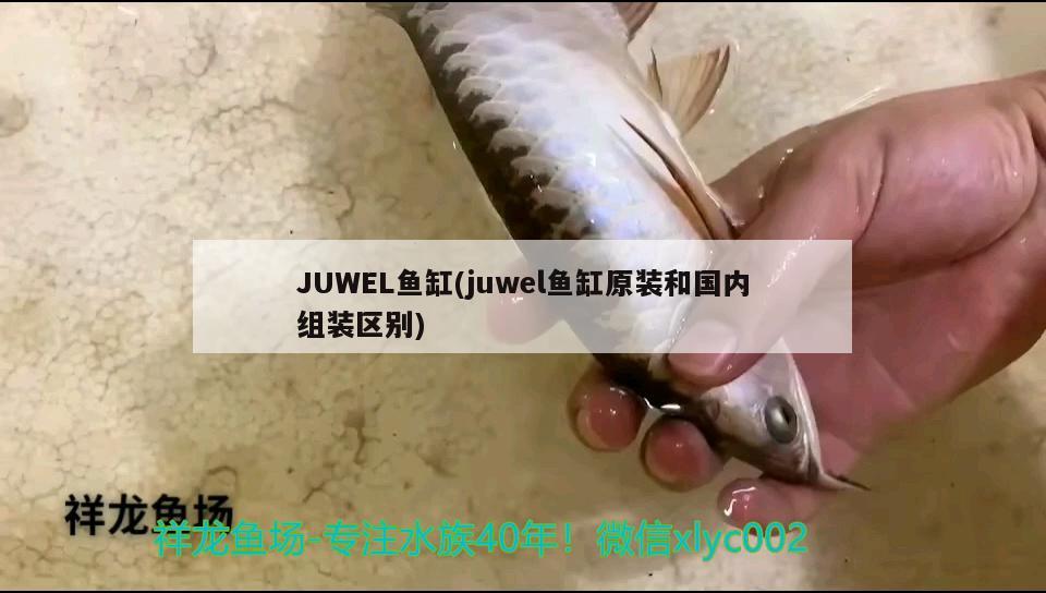 JUWEL鱼缸(juwel鱼缸原装和国内组装区别)