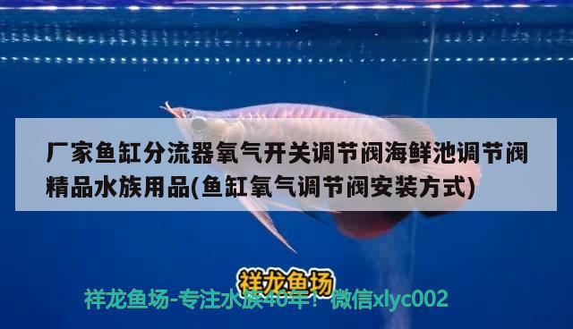 厂家鱼缸分流器氧气开关调节阀海鲜池调节阀精品水族用品(鱼缸氧气调节阀安装方式) 水族用品